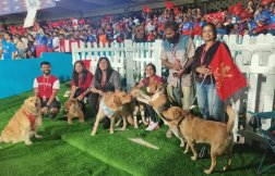 VIDEO: आईपीएल 2024 के लिए RCB की नई पहल, अब स्टेडियम में अपने कुत्ते के साथ देख सकेंगे मैच