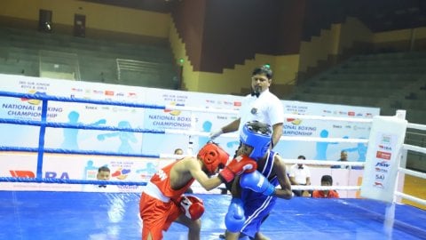 Sub Jr. Nationals: 15 Haryana boxers enter quarterfinals