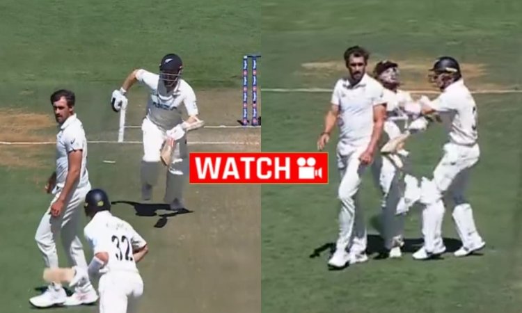 12 साल बाद टेस्ट में फिर रन आउट हुए केन विलियमसन, विल यंग से मैदान पर गए थे टकरा; देखें VIDEO 