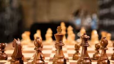 'Indian Chess Federation lost a great branding opportunity despite sponsoring players'