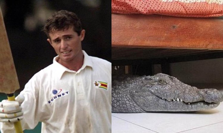 When Former Zimbabwean cricketer Guy Whittall finds an 8-foot crocodile under his bed