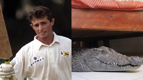 When Former Zimbabwean cricketer Guy Whittall finds an 8-foot crocodile under his bed