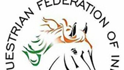 EFI stands vindicated, Delhi High Court stays appointment of Ad-hoc Committee