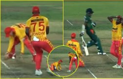 Live मैच में हुई कॉमेडी, हाथ में आई बॉल फिर भी रन आउट नहीं कर पाए जिम्बाब्वे के खिलाड़ी; देखें VIDEO