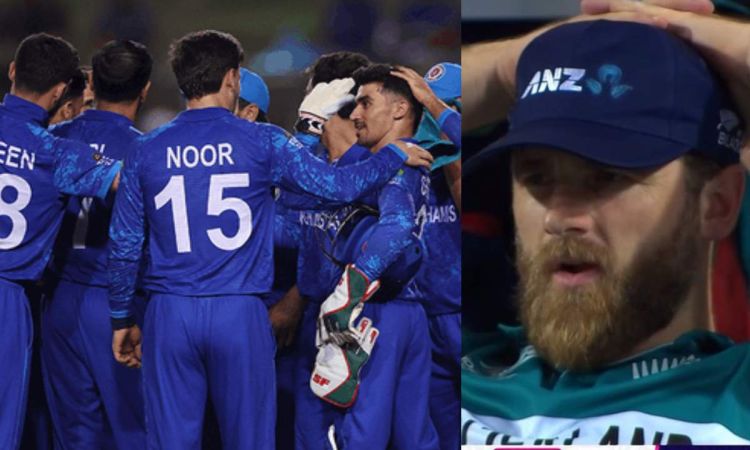 T20 World Cup 2024 Afghanistan Beat PNG By Seven Wickets to enter super eight New Zealand Eliminated