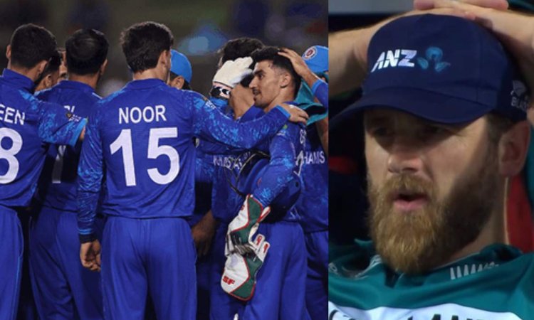 T20 World Cup 2024: Afghanistan Beat PNG To Advance At T20 World Cup As New Zealand Eliminated