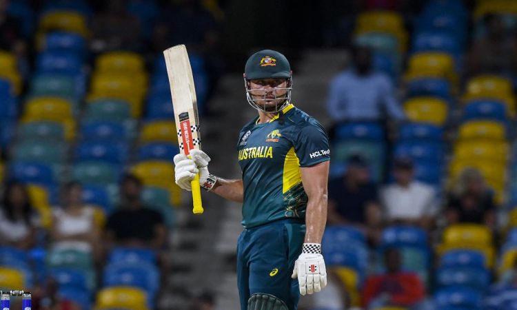 T20 World Cup 2024, Marcus Stoinis