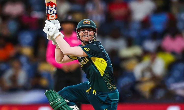 David Warner now holds the record for the most fifty-plus scores in T20 cricket