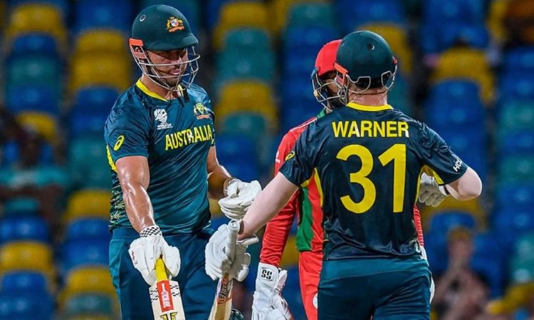  T20 World Cup 2024: Marcus Stoinis Sparks Australia Fightback Against Oman