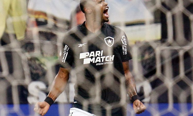 Botafogo beat Corinthians to lead Brazil's Serie A