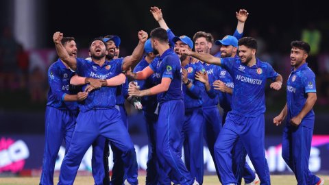 T20 World Cup: Afghanistan's all-round display seals first ever win over Australia