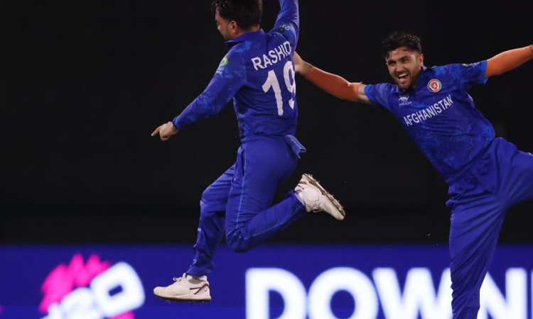 T20 World Cup: Farooqi, Rashid hand Afghanistan comprehensive 84 runs victory over NZ