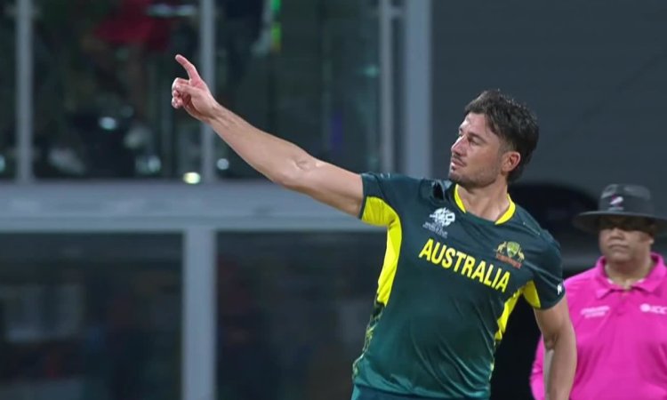 T20 World Cup: Stoinis' all-round effort takes Australia to 39-run win over Oman