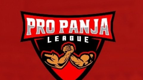 Pro Panja League season 2 postponed following co-founder's accident