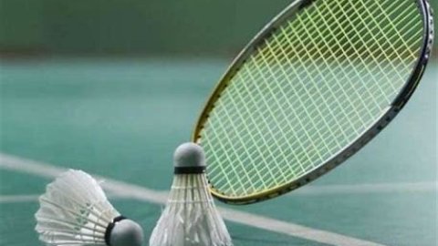 Hylo Open 2024: Satish Kumar, Ayush Shetty advance on mixed day for India