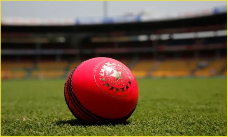 India Record in Pink Ball Test: एडिलेड में होगा डे-नाइट टेस्ट, जान लीजिए पिंक बॉल से कैसा रहा है Team India का रिकॉर्ड