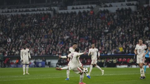 Fan's death overshadows FC Bayern's UCL win over Benfica