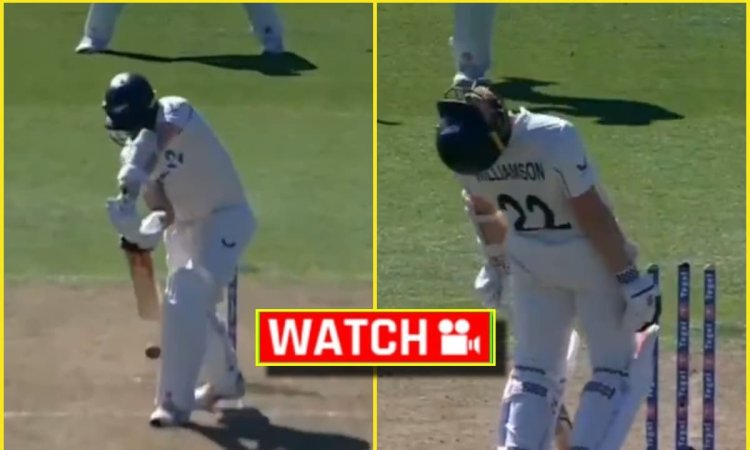 Kane Williamson ने खुद के पैर पर मारी कुल्हाड़ी, बॉल पर लात मारकर हो गए बोल्ड; देखें VIDEO