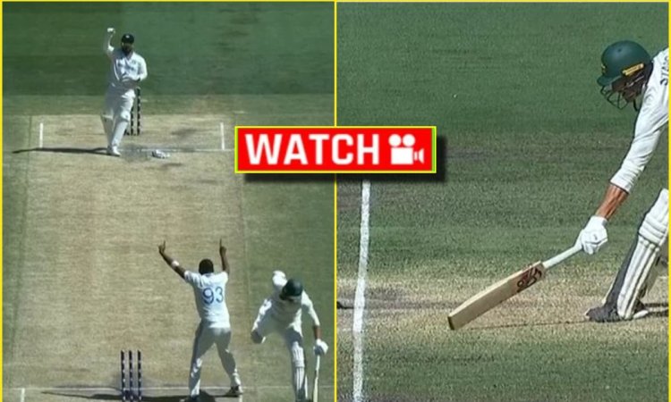 Rishabh Pant ने दिलाई MS Dhoni की याद! Thala जैसी चतुराई दिखाकर Mitchell Starc को किया Run Out; देखे