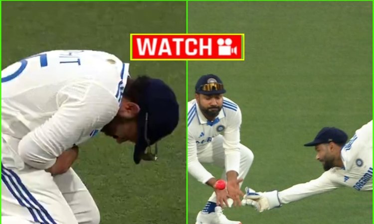 दर्द से तड़प गए रोहित शर्मा, Rishabh Pant की गलती से बुरी तरह होने वाले थे INJURED; देखें VIDEO