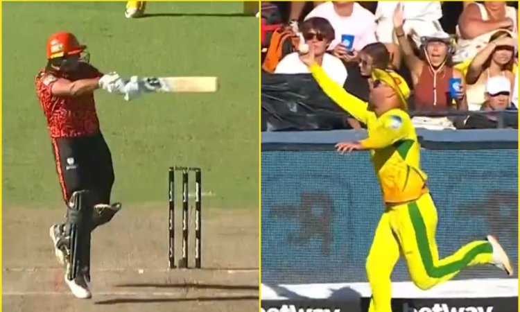 फेरारी से भी तेज दौड़े फरेरा, फिर बाउंड्री पर एक हाथ से पकड़ लिया करिश्माई कैच; देखें VIDEO