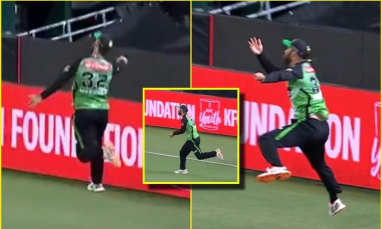 Glenn Maxwell नहीं ये है Mad Maxwell... पकड़ लिया है BBL इतिहास का सबसे भयंकर कैच; देखें VIDEO