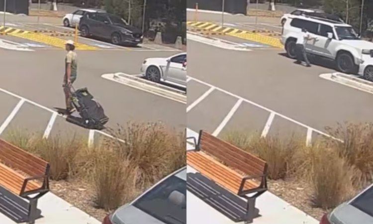 VIDEO: सैम कोंस्टस के लिए गज़ब की दीवानगी, चलती गाड़ी से उतरकर सेल्फी लेने पहुंचा फैन