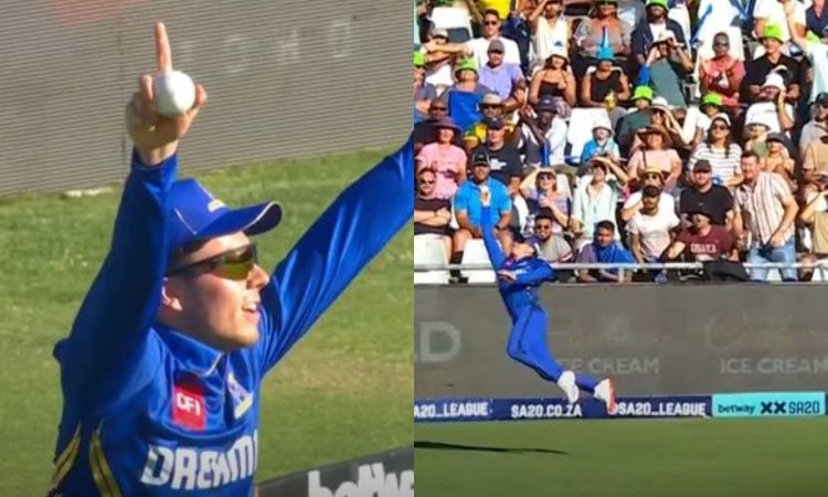 VIDEO: डेवाल्ड ब्रेविस ने बाउंड्री पर फिर से कर दिखाया चमत्कार, हवा में उड़कर एक हाथ से पकड़ा कैच