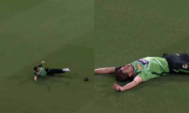 VIDEO: स्टोइनिस का कैच देखकर दांतों तले दबा लेंगे उंगलियां, कैच पकड़कर मैदान पर ही लेट गया धाकड़ खिल