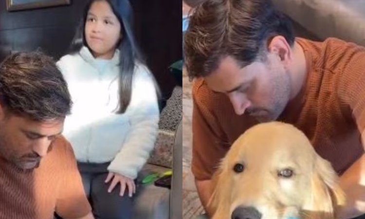 VIDEO: एमएस धोनी का नया वीडियो हुआ वायरल, अपने डॉग के बालों को संवारते आए नज़र