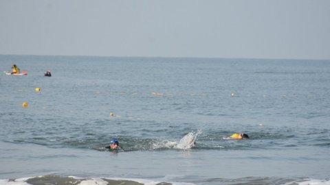 Over 200 swimmers gear up for Den Den 2025 Sea Swimming Championship in Mangaluru