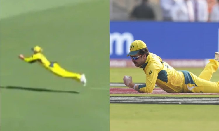 VIDEO: लिचफील्ड ने दिलाई ट्रैविस हेड की याद, वर्ल्ड कप फाइनल में रोहित शर्मा का पकड़ा था गज़ब का कैच