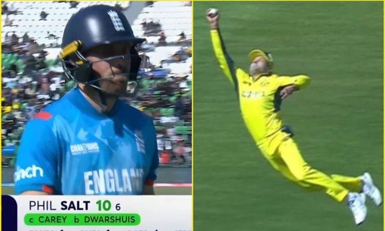 ये नहीं देखा तो कुछ नहीं देखा! Alex Carey ने पकड़ा है Phil Salt का Crazy कैच; देखें VIDEO