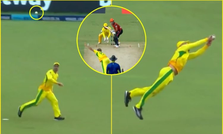 VIDEO: चीते की चाल, बाज़ की नज़र और Faf की फील्डिंग पर संदेह नहीं करते! 40 साल की उम्र में पकड़ा है 