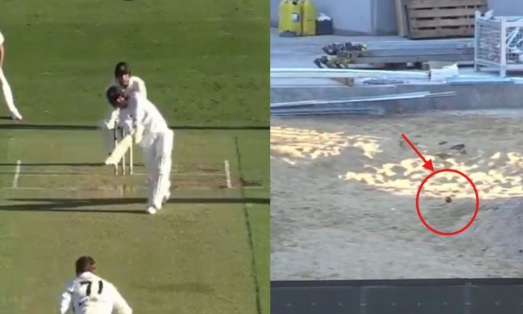 VIDEO: 40 साल के पीटर सिड्डल ने मारा गगनचुंबी छक्का, कंस्ट्रक्शन साइट पर जाकर गिरी बॉल