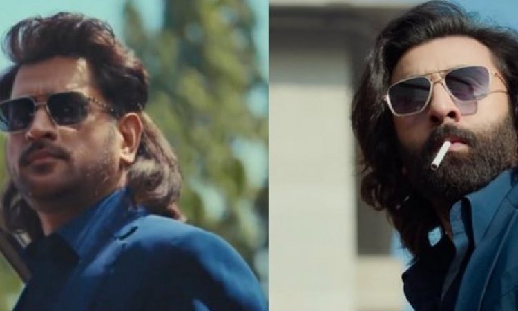 WATCH: IPL से पहले माही का फिल्मी अंदाज, सुनाई दे रहा है मुझे... धोनी बने 'एनिमल'