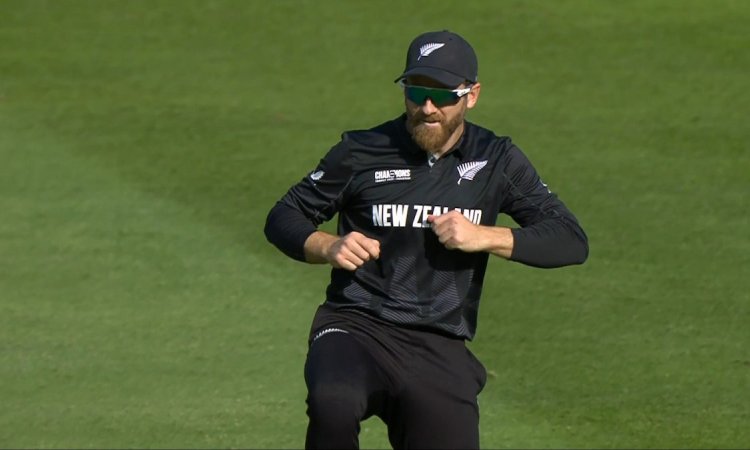  WATCH: कैच छोड़ो, पहले डांस देखो! गेंद लगी तो उछल पड़े केन विलियमसन