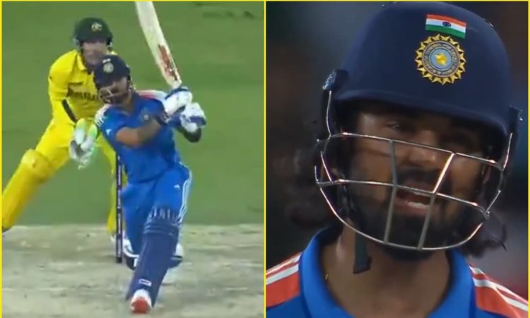 'मैं मार रहा था ना यार', सेंचुरी से पहले OUT हुए विराट तो टूट गया KL Rahul का दिल; देखें VIDEO