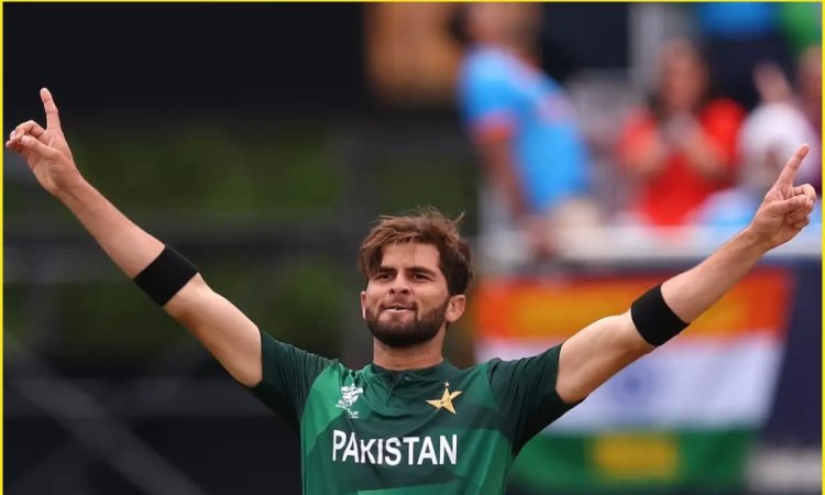 टूटने वाला है Tim Southee का महारिकॉर्ड! PAK vs NZ T20I सीरीज में इतिहास रच सकते हैं Shaheen Afridi