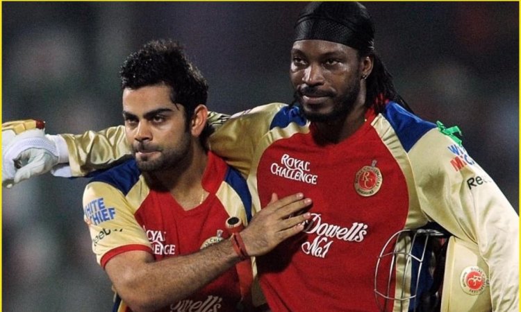 Top-5 खिलाड़ी जिन्होंने IPL में मारे हैं सबसे ज्यादा छक्के! लिस्ट में शामिल है T20 का सबसे बड़ा 'सिक Top-5 खिलाड़ी जिन्होंने IPL में मारे हैं सबसे ज्यादा छक्के! लिस्ट में शामिल है T20 का सबसे बड़ा 'सिक