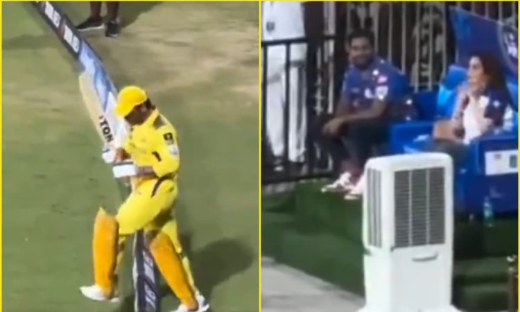 WATCH: ये है माही मैजिक! मैदान पर आते ही उठी 'थाला-थाला' की गूंज; देखने लायक था नीता अंबानी का रिएक्