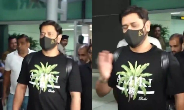 VIDEO: धोनी की हरकत पर भड़के फैंस, रिपोर्टर को नहीं दिया चैंपियंस ट्रॉफी जीत पर रिएक्शन