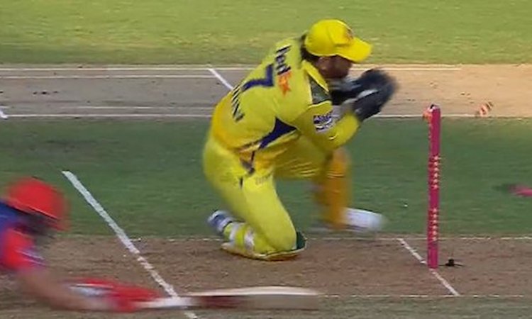 VIDEO: जडेजा का थ्रो, धोनी की बिजली! चेपॉक में दिखा रन आउट का सुपर सीन