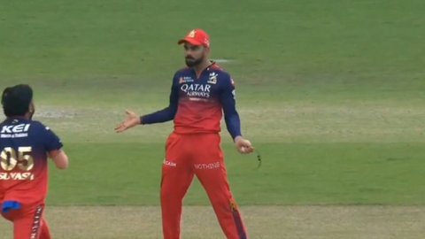 कोहली का वढेरा के रनआउट पर तूफानी जश्न, सोशल मीडिया पर मचा धमाल; देखें VIDEO