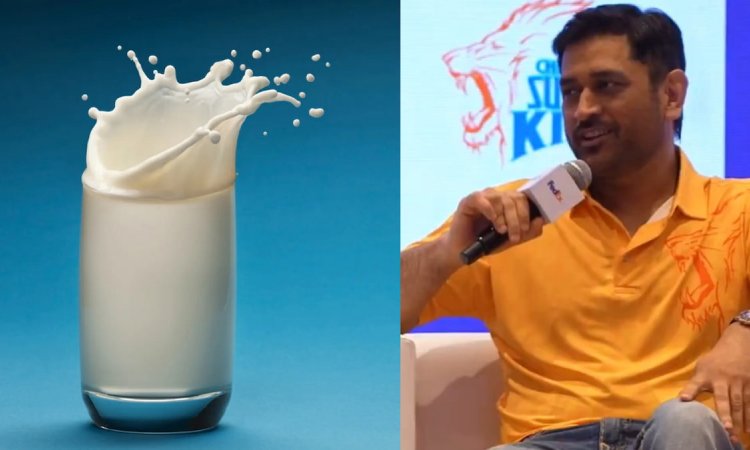 WATCH: MS धोनी ने '5 लीटर दूध' पीने वाली अफवाह पर तोड़ी चुप्पी, खुद बताया सच