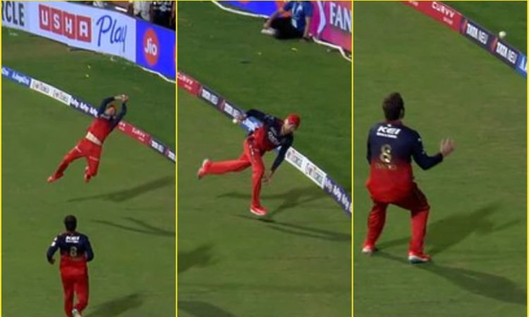 ये नहीं देखा तो कुछ नहीं देखा! Phil Salt और Tim David ने मिलकर पकड़ा है IPL 2025 का बेस्ट कैच; देखें