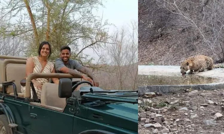 क्रिकेट में धमाल, लेकिन तेंदुए को सामने देख सहम गए सूर्यकुमार यादव; देखिए VIDEO