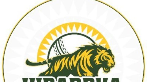 Inaugural Vidarbha Pro T20 League to begin on June 5