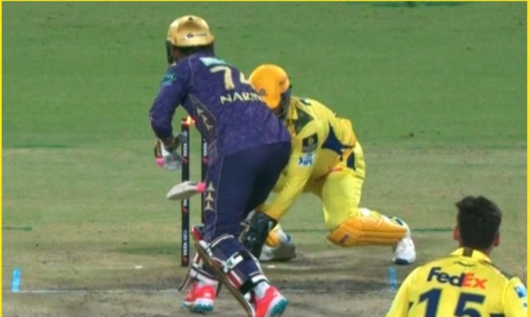 चीते की चाल, बाज की नज़र और धोनी की स्टंपिंग पर संदेह नहीं करते! आप भी देखिए Mahi Magic का VIDEO