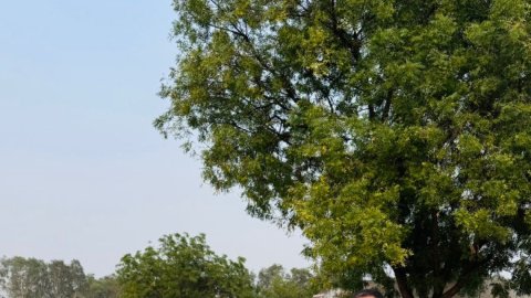 'Whatever I have achieved in PKL is because of him:' U Mumba captain Sunil Kumar honours childhood c